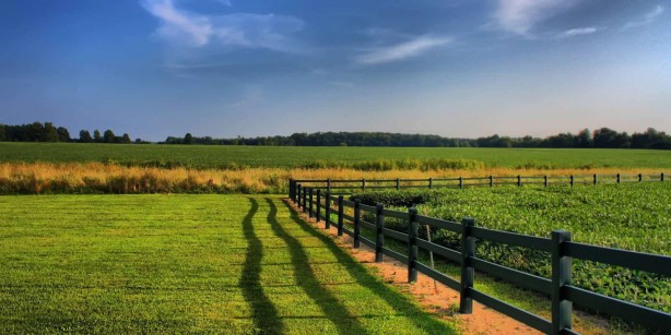 Foto - O banka 9 ildeki 27 arsayı satışa çıkardı! Başvurular başladı, son tarihi kaçırmayın