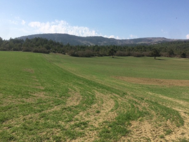 Foto - O banka 9 ildeki 27 arsayı satışa çıkardı! Başvurular başladı, son tarihi kaçırmayın