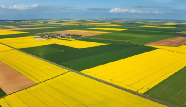 Foto - O banka 9 ildeki 27 arsayı satışa çıkardı! Başvurular başladı, son tarihi kaçırmayın