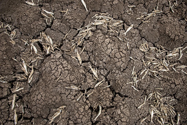 Foto - O baraj tamamen kurudu! İşte son hali