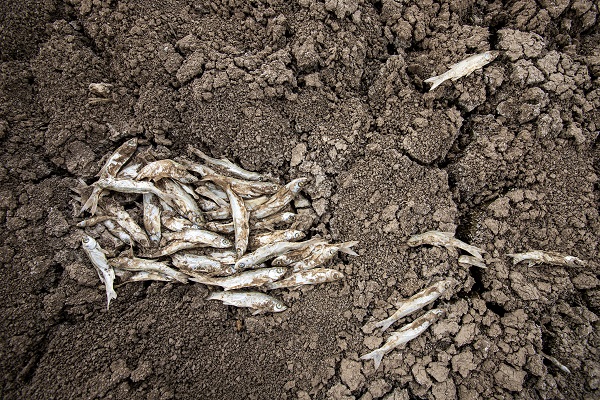 Foto - O baraj tamamen kurudu! İşte son hali