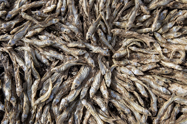 Foto - O baraj tamamen kurudu! İşte son hali