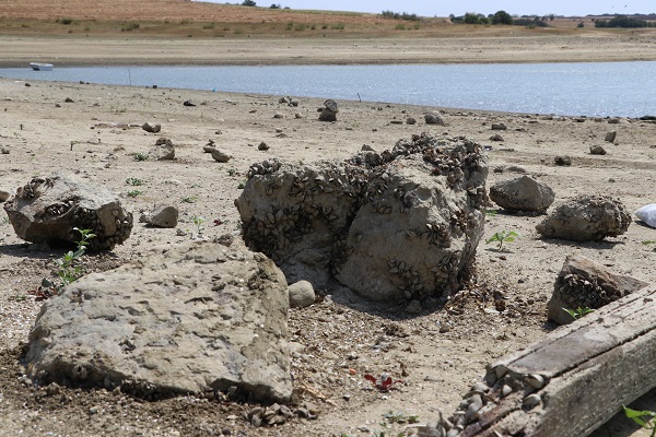 Foto - O barajda doluluk yüzde 15’e düştü