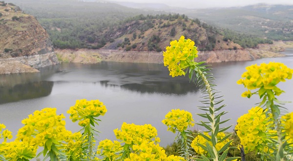 Foto - O barajda tehlikeli manzara! İskele ile tekne arasındaki mesafe şaşırttı