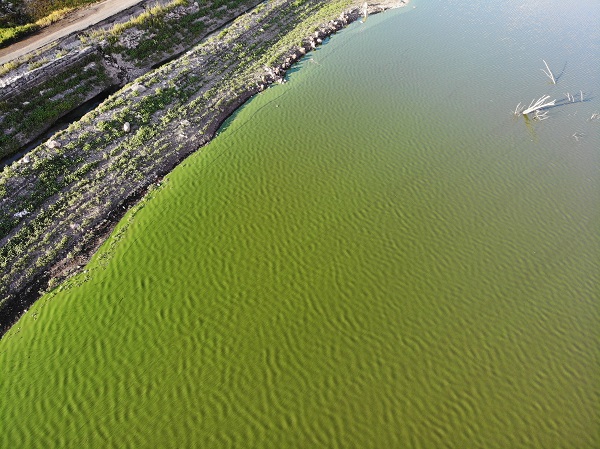 Foto - O barajın rengi değişti! 