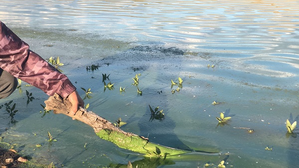 Foto - O barajın rengi değişti! 