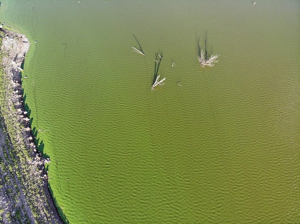Foto - O barajın rengi değişti! 
