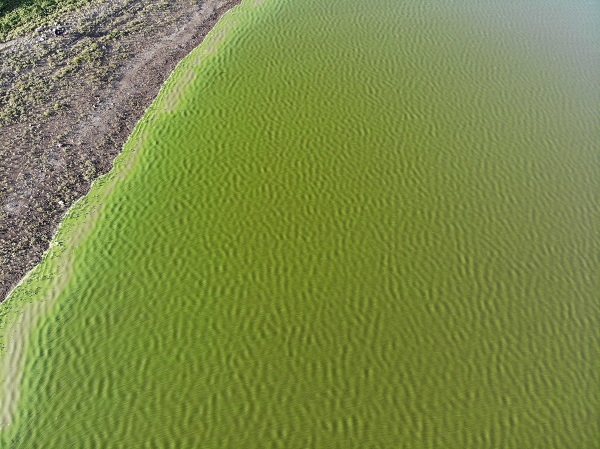 Foto - O barajın rengi değişti! 