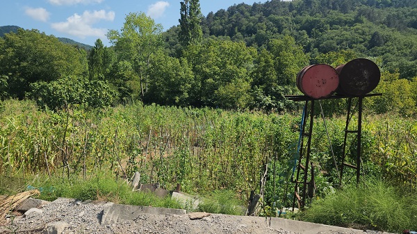 Foto - O beldede halı yıkamaya kısıtlama