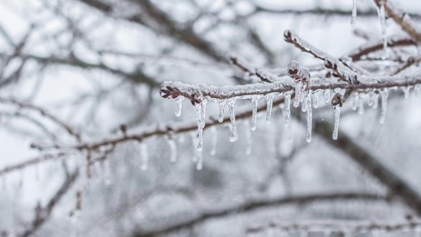Foto - Aman dikkat! O bölgeler için zirai don uyarısı!