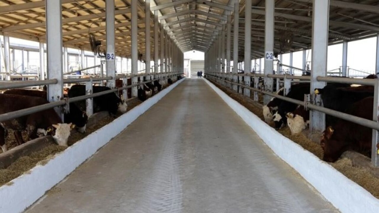 Foto - O bölge karantinaya alındı! Karara uymayana dudak uçuklatan ceza