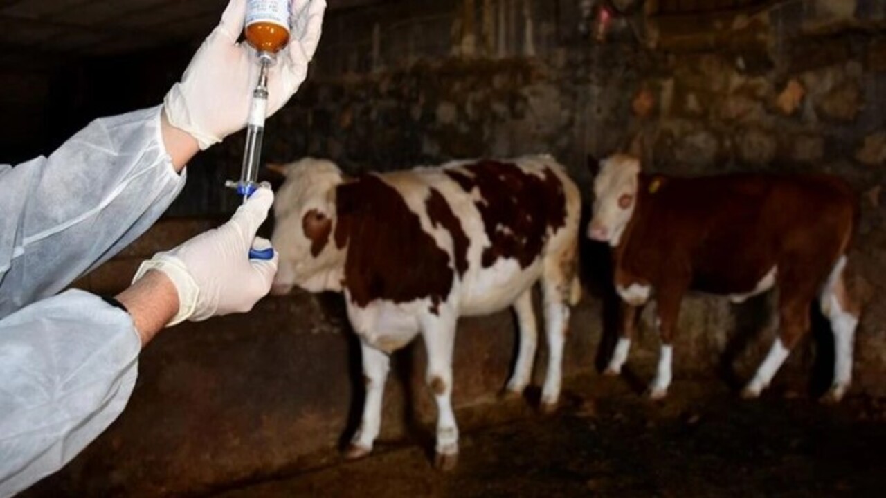 Foto - O bölge karantinaya alındı! Karara uymayana dudak uçuklatan ceza