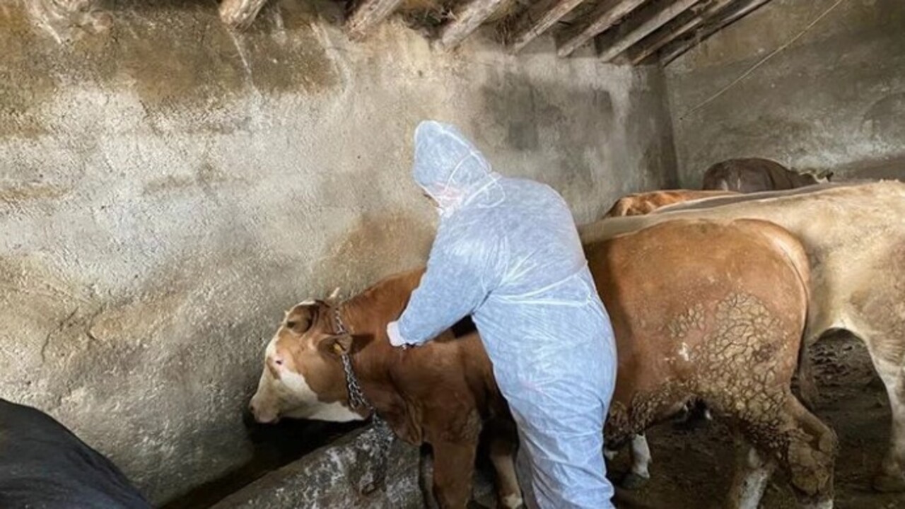 Foto - O bölge karantinaya alındı! Karara uymayana dudak uçuklatan ceza