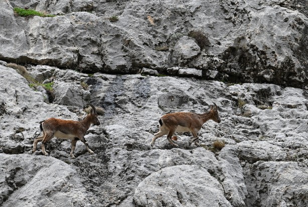 Foto - O bölgeyi görmek için harekete geçtiler! Yok böyle bir doğa harikası! Tam anlamıyla muhteşem...