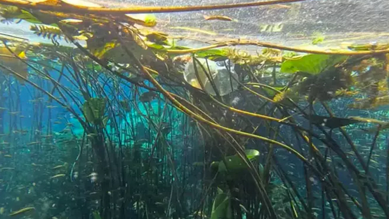 Foto - O büyükşehirimizin içme suyu kaynağında kirlilik alarmı: Kırkgöz Göleti korkutuyor