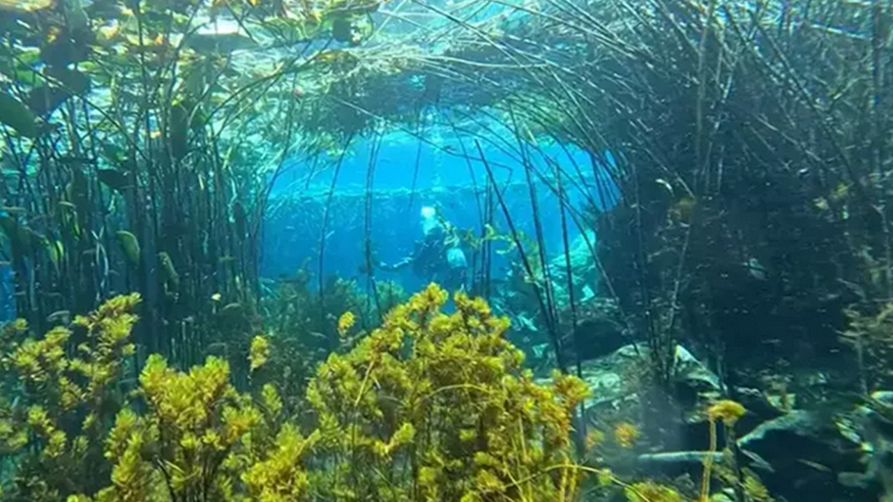 Foto - O büyükşehirimizin içme suyu kaynağında kirlilik alarmı: Kırkgöz Göleti korkutuyor