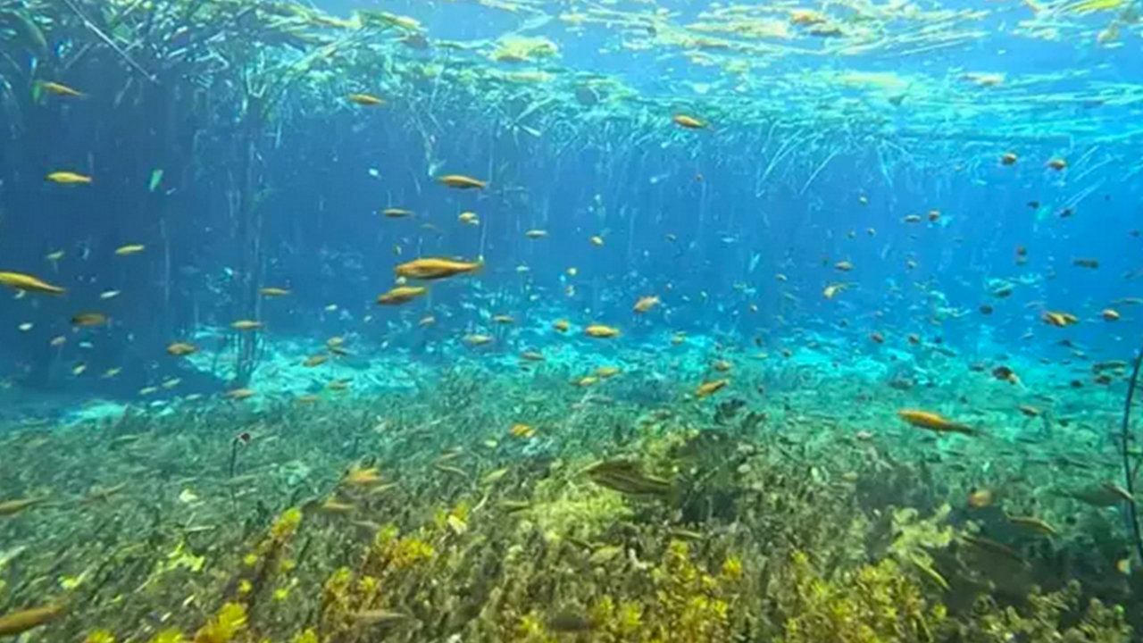 Foto - O büyükşehirimizin içme suyu kaynağında kirlilik alarmı: Kırkgöz Göleti korkutuyor