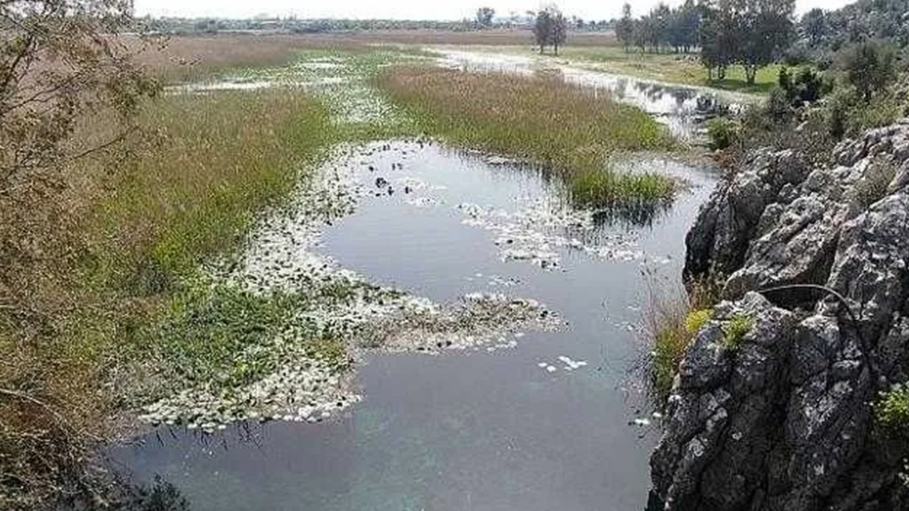 Foto - O büyükşehirimizin içme suyu kaynağında kirlilik alarmı: Kırkgöz Göleti korkutuyor