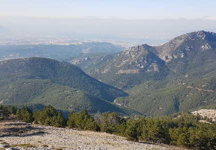Foto - 'O dağın altında altın rezervi var, altın fışkırıyor' diyerek yetkililere seslendi: Cinler koruyor! Giriş kapılarını biliyorum