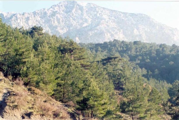 Foto - O dağın altında Hz. Süleyman'ın hazinesi bulundu! Tonlarca altın...