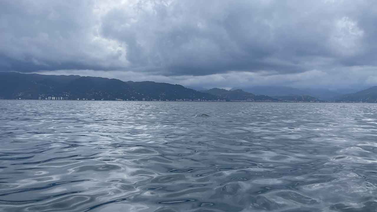 Foto - 'O denizin altında petrol hazinesi var' deniyordu! Ve Türkiye'nin merakla beklediği haber geldi