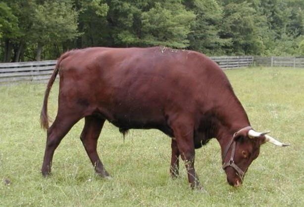 Foto - O deyimlerin ilginç hikayeleri