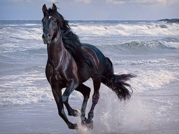 Foto - O deyimlerin ilginç hikayeleri