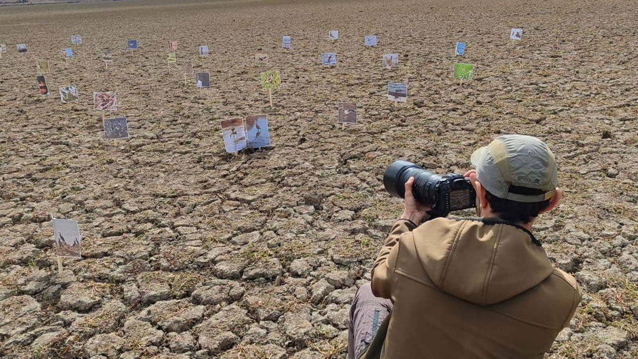 Foto - O göl tamamen kurudu! Kuş cennetiydi çorak araziye döndü