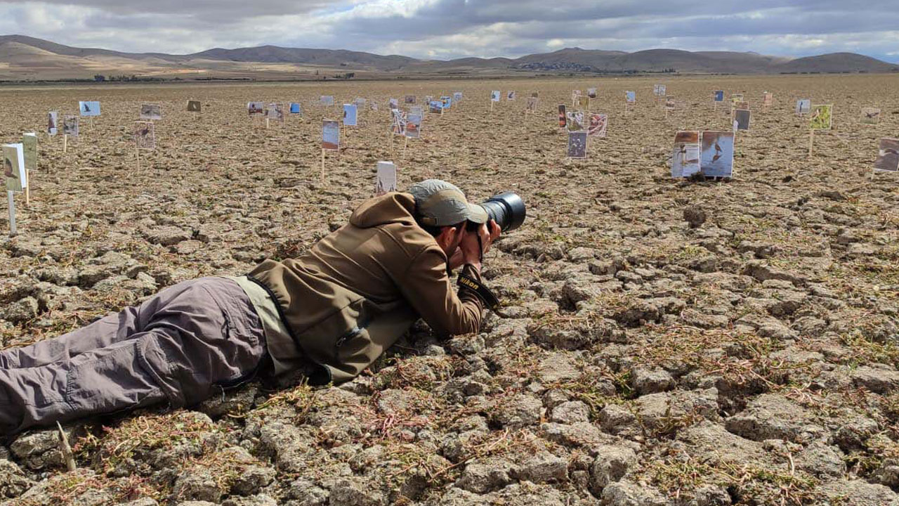 Foto - O göl tamamen kurudu! Kuş cennetiydi çorak araziye döndü