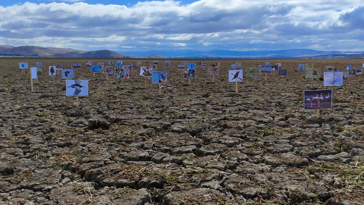O göl tamamen kurudu! Kuş cennetiydi çorak araziye döndü