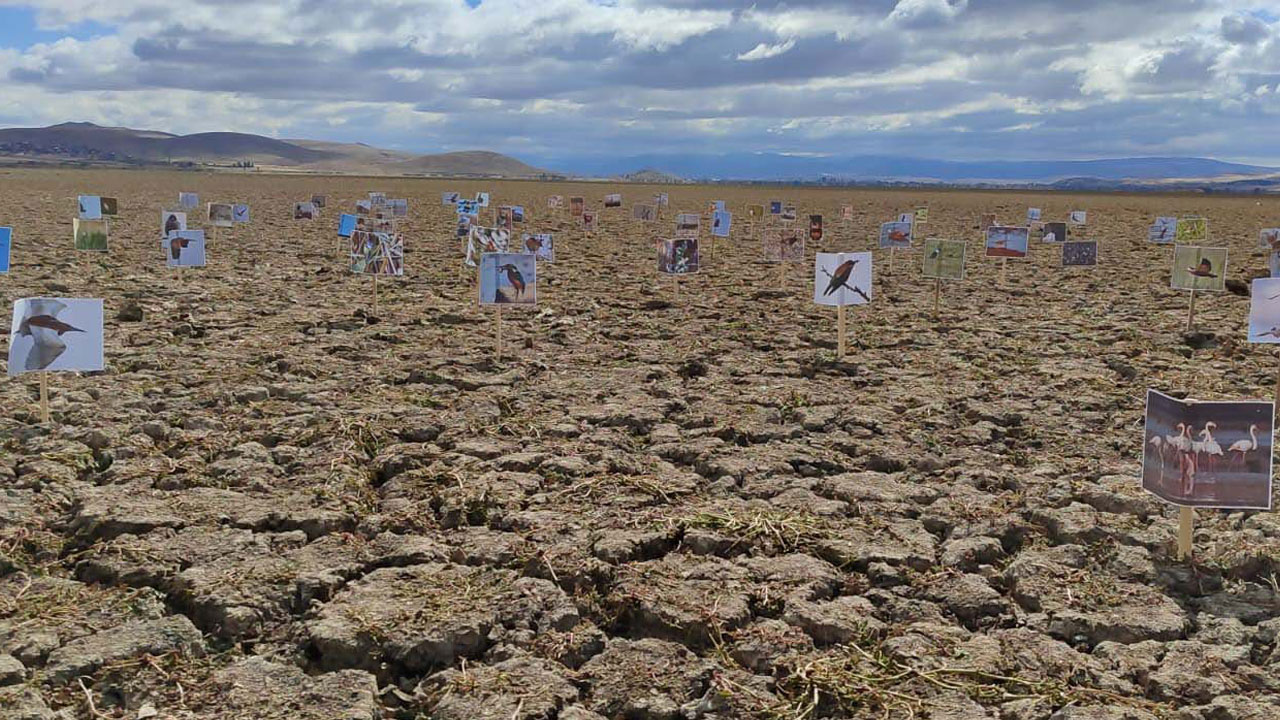 Foto - O göl tamamen kurudu! Kuş cennetiydi çorak araziye döndü