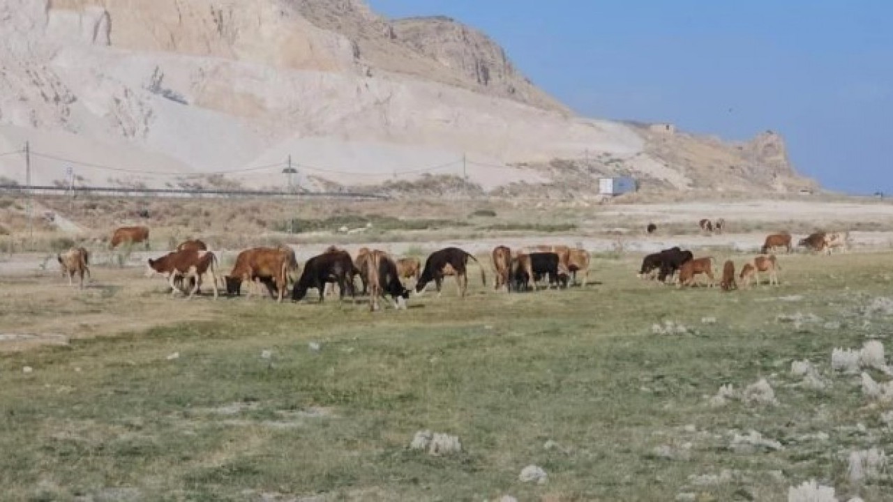 Foto - O gölde kuraklık alarmı! Sular çekilince ortaya çıktı