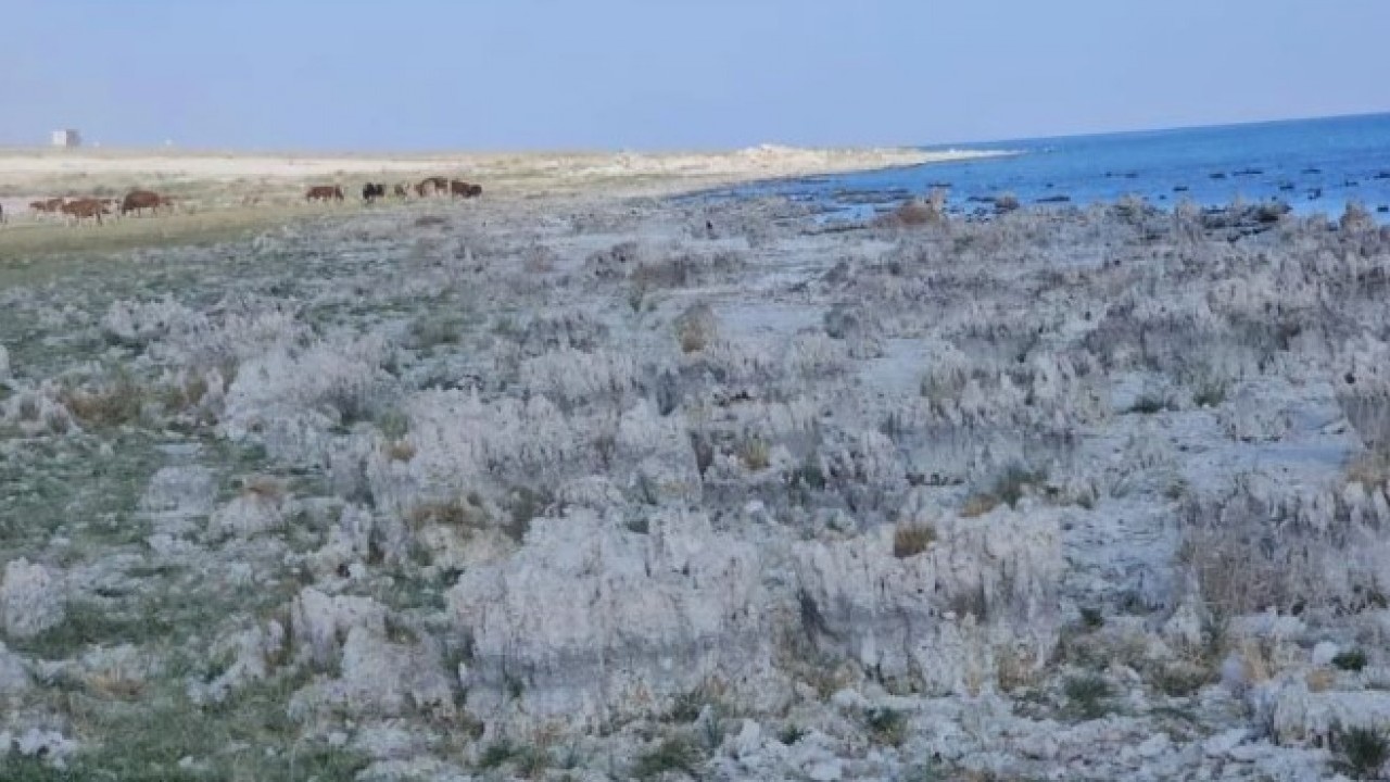 Foto - O gölde kuraklık alarmı! Sular çekilince ortaya çıktı