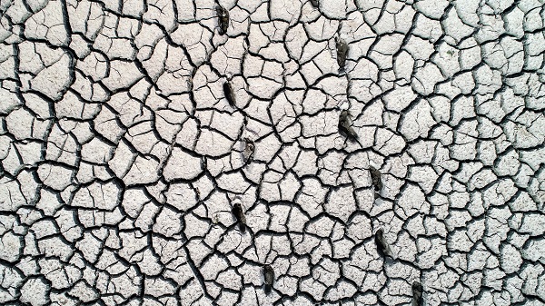 Foto - O gölette kuraklıktan adacıklar oluştu