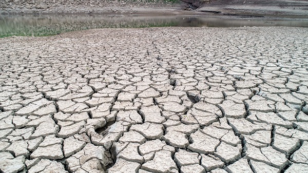 Foto - O gölette kuraklıktan adacıklar oluştu
