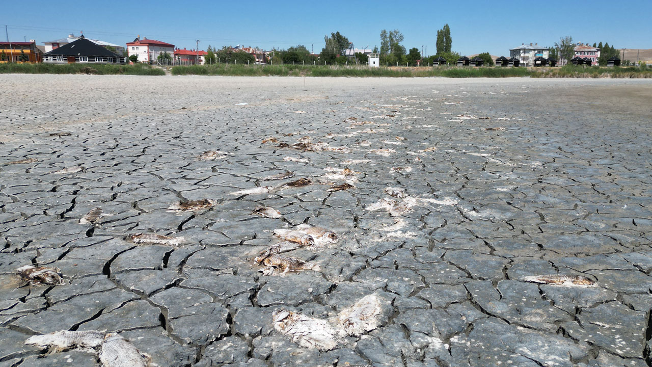Foto - O gölü kurtarmak için çözüm aranıyor! Kuşlar göç etti, balıklar telef oldu