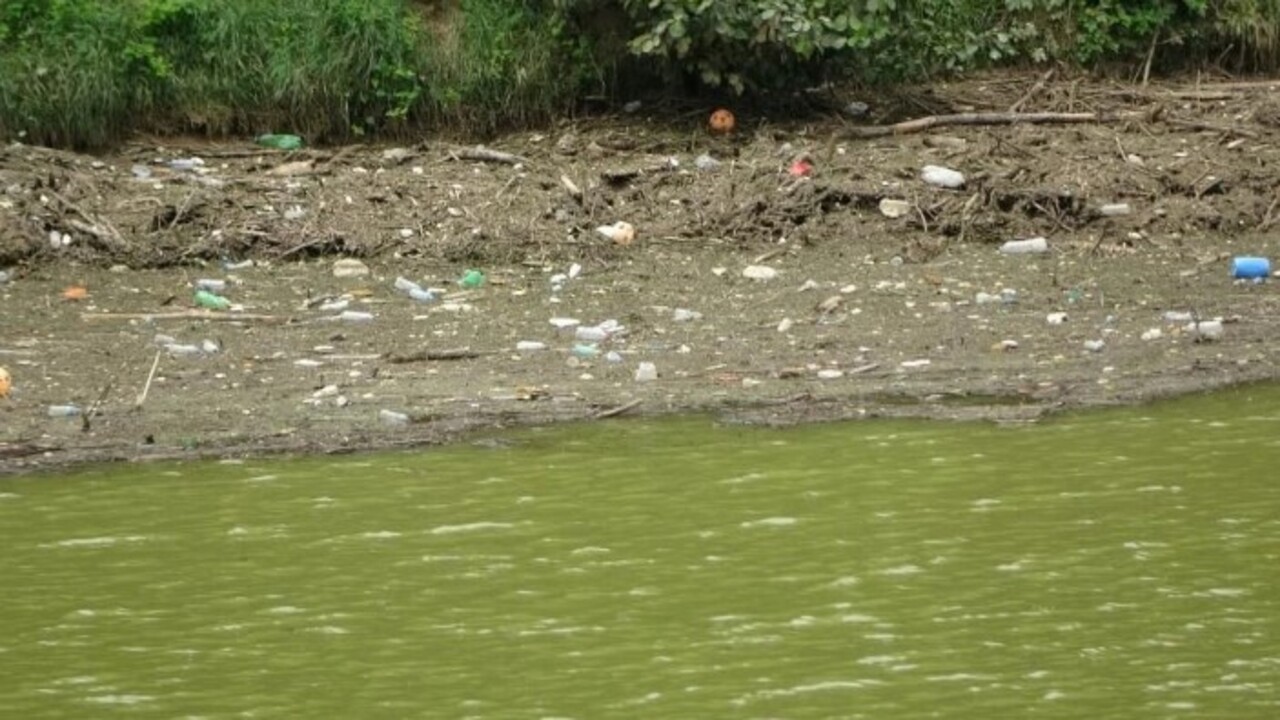 Foto - O gölümüze korkunç tehlike! Bataklığa dönüşme riski var