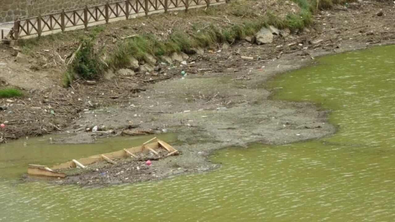 Foto - O gölümüze korkunç tehlike! Bataklığa dönüşme riski var