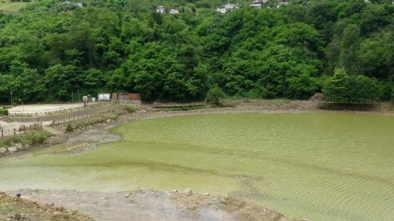 Foto - O gölümüze korkunç tehlike! Bataklığa dönüşme riski var