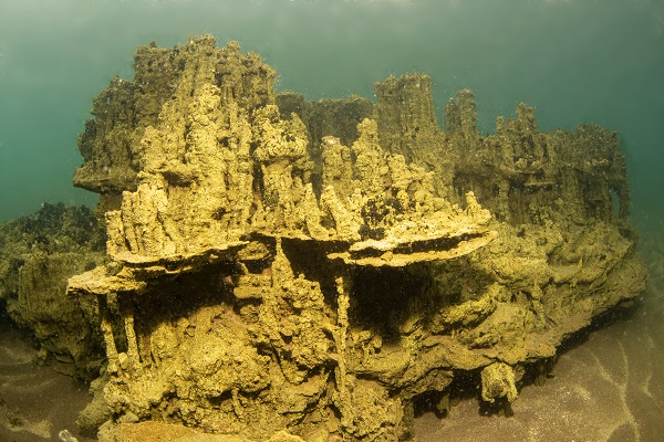 Foto - O gölün altındaki gizli hazine! Dalgıçlar antik yolda böyle yürüdü