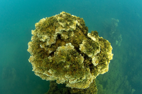 Foto - O gölün altındaki gizli hazine! Dalgıçlar antik yolda böyle yürüdü