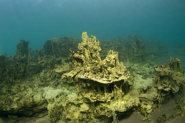 Foto - O gölün altındaki gizli hazine! Dalgıçlar antik yolda böyle yürüdü