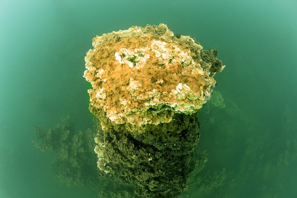 Foto - O gölün altındaki gizli hazine! Dalgıçlar antik yolda böyle yürüdü