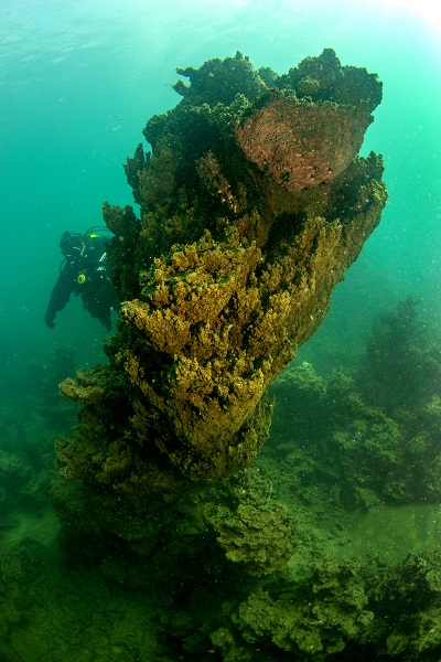 Foto - O gölün altındaki gizli hazine! Dalgıçlar antik yolda böyle yürüdü