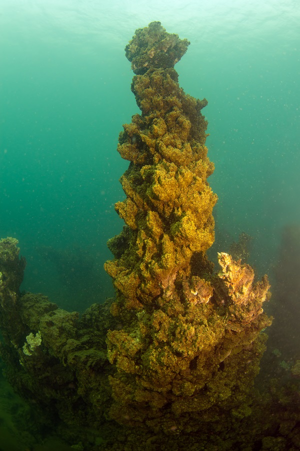 Foto - O gölün altındaki gizli hazine! Dalgıçlar antik yolda böyle yürüdü