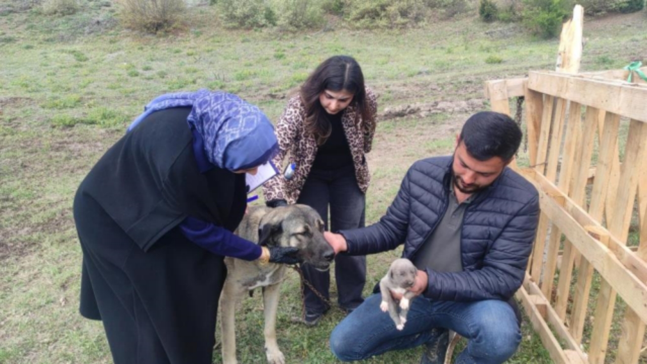 Foto - O görüntüler tüm Türkiye’yi ayağa kaldırmıştı! Kamyon kasasında sarkan köpeğin sahibi konuştu! İşte olayın iç yüzü