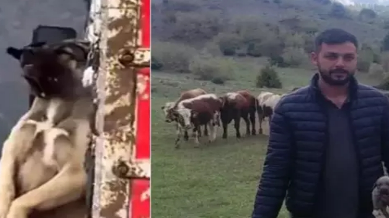 O görüntüler tüm Türkiye’yi ayağa kaldırmıştı! Kamyon kasasında sarkan köpeğin sahibi konuştu! İşte olayın iç yüzü