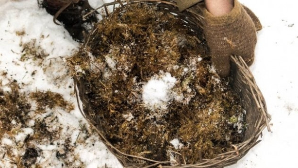 Foto - O hala Ortacağ'da yaşıyor
