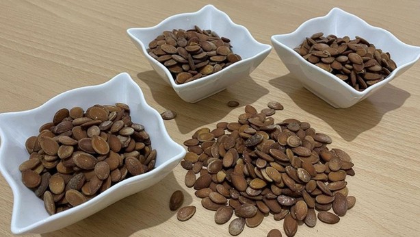 Foto - O hastalığa birebir! Karpuzu çekirdeğiyle birlikte yerseniz bakın ne oluyor