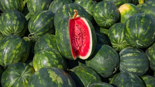 Foto - O hastalığa birebir! Karpuzu çekirdeğiyle birlikte yerseniz bakın ne oluyor